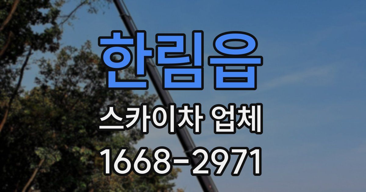 한림읍 스카이차 업체