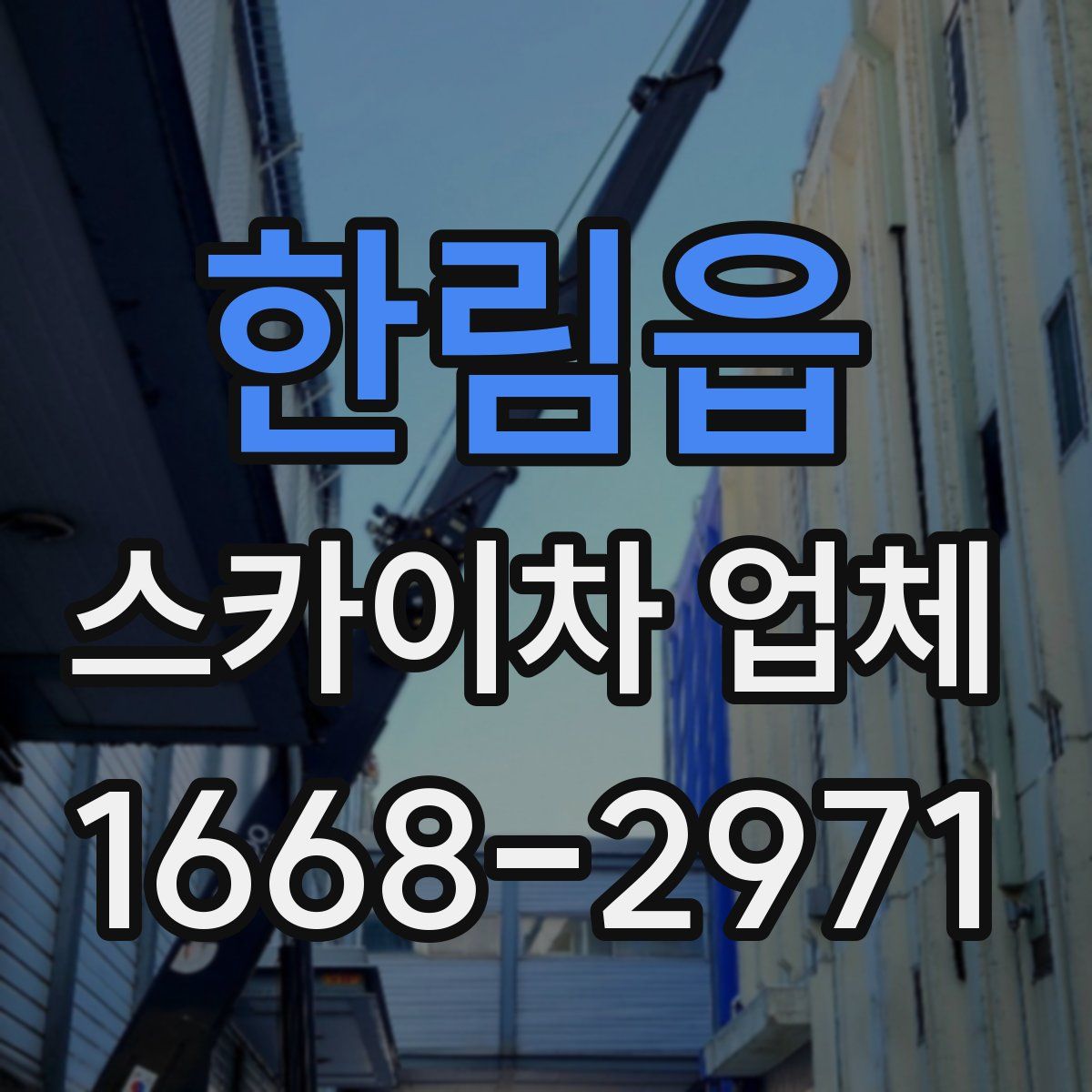 한림읍 스카이차 업체