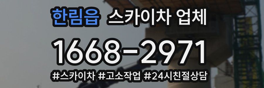 한림읍 스카이차 업체