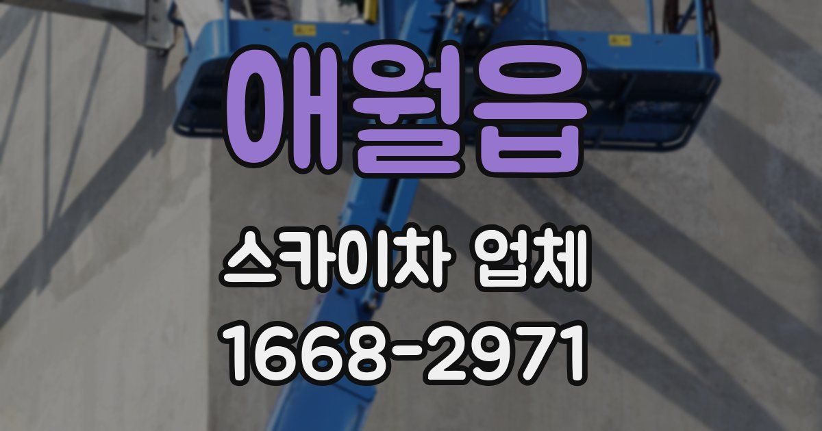 애월읍 스카이차 업체