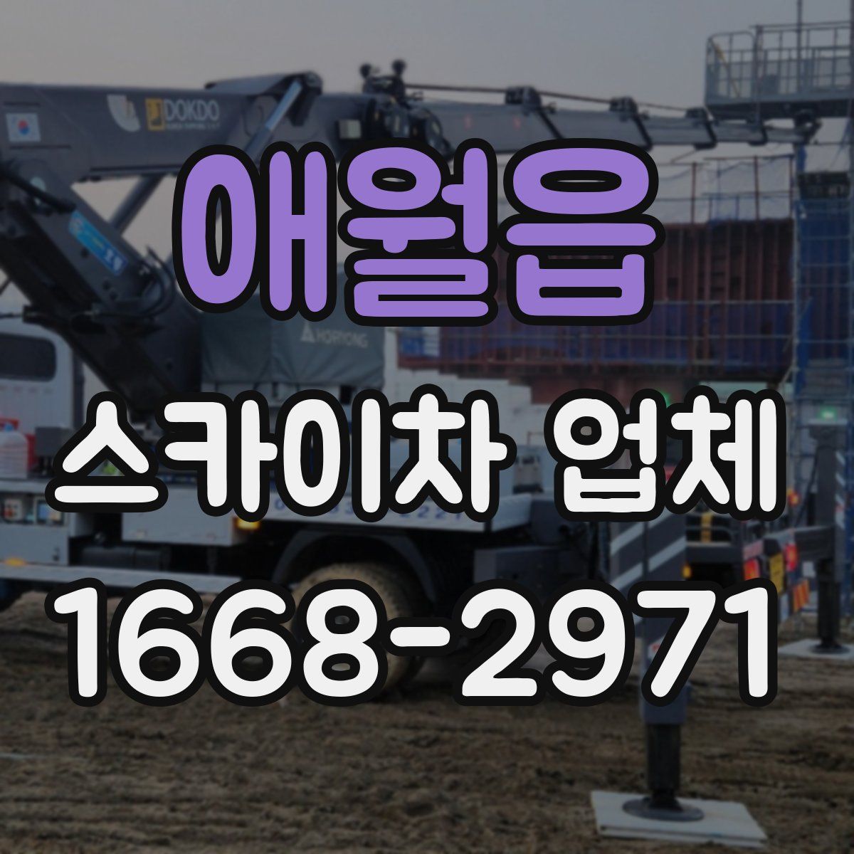 애월읍 스카이차 업체