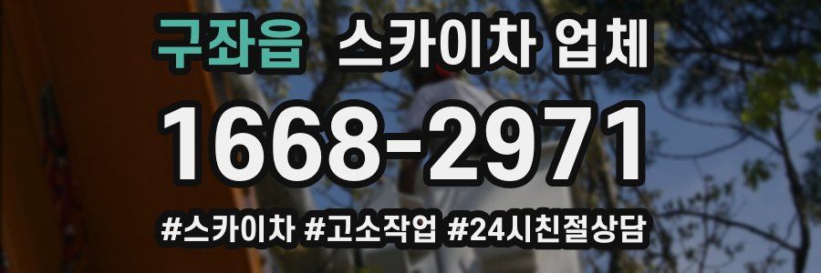 구좌읍 스카이차 업체