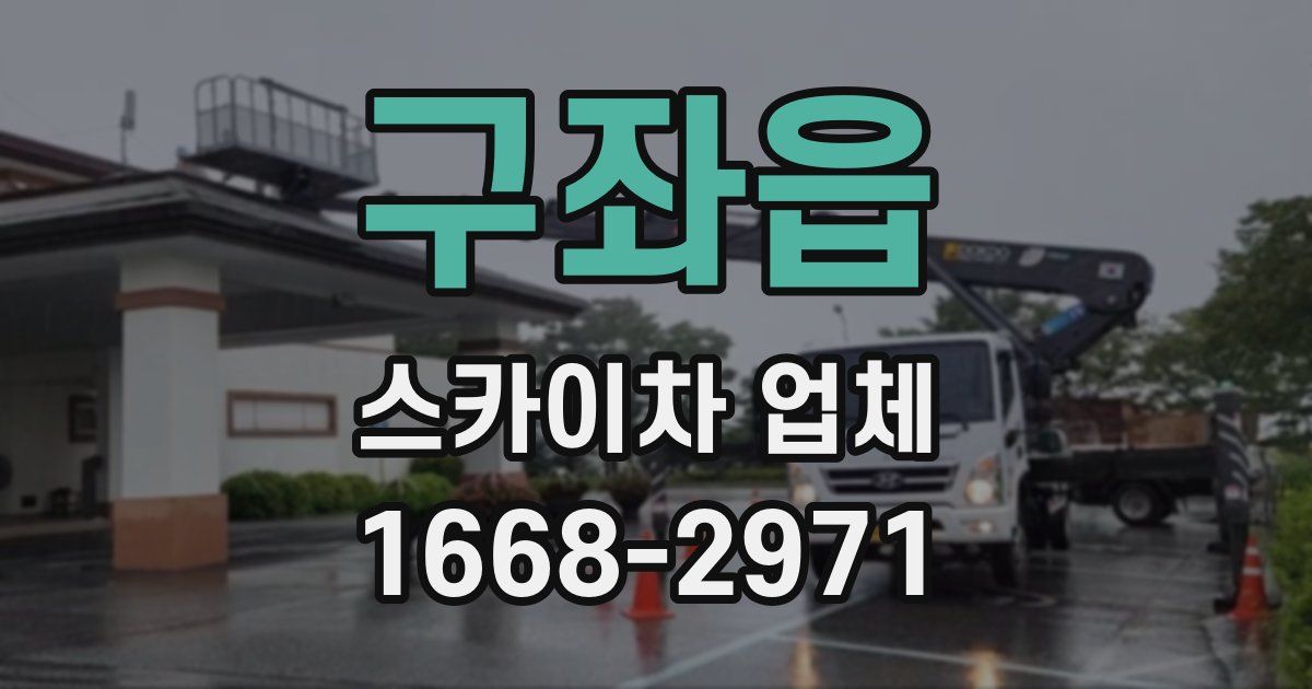 구좌읍 스카이차 업체