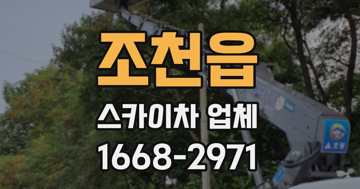 조천읍 스카이차 업체
