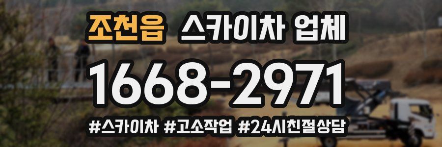 조천읍 스카이차 업체