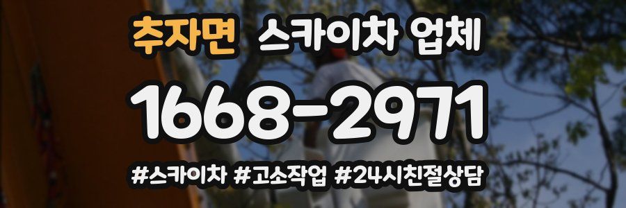 추자면 스카이차 업체