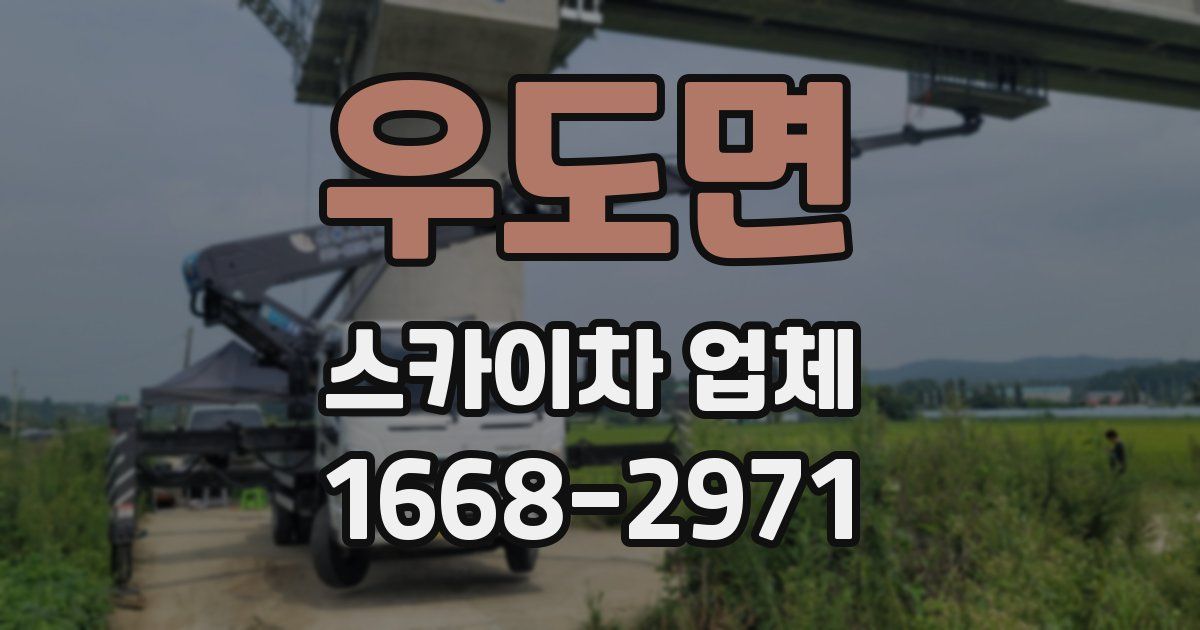 우도면 스카이차 업체