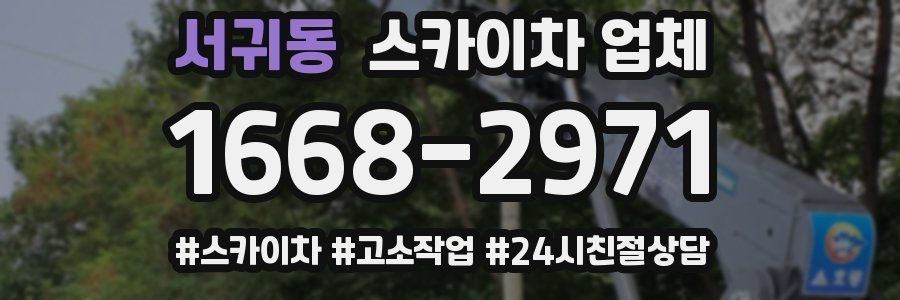 서귀동 스카이차 업체