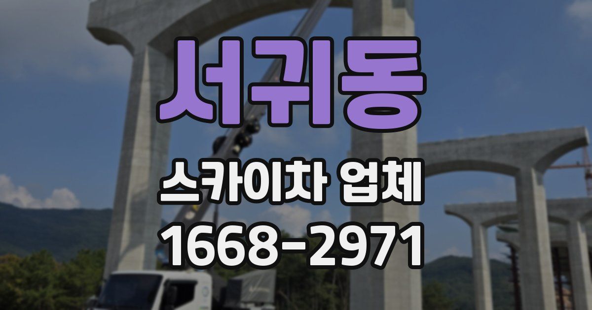 서귀동 스카이차 업체