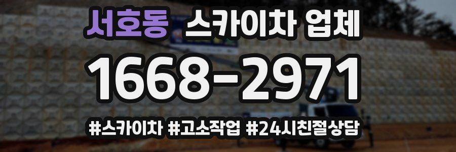 서호동 스카이차 업체