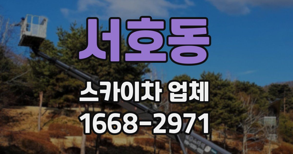 서호동 스카이차 업체