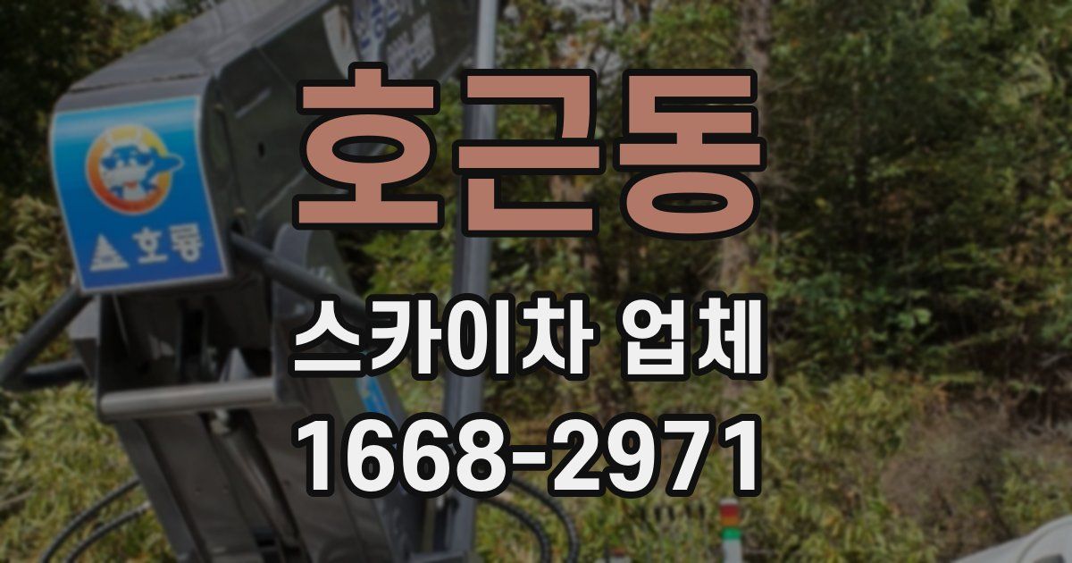 호근동 스카이차 업체
