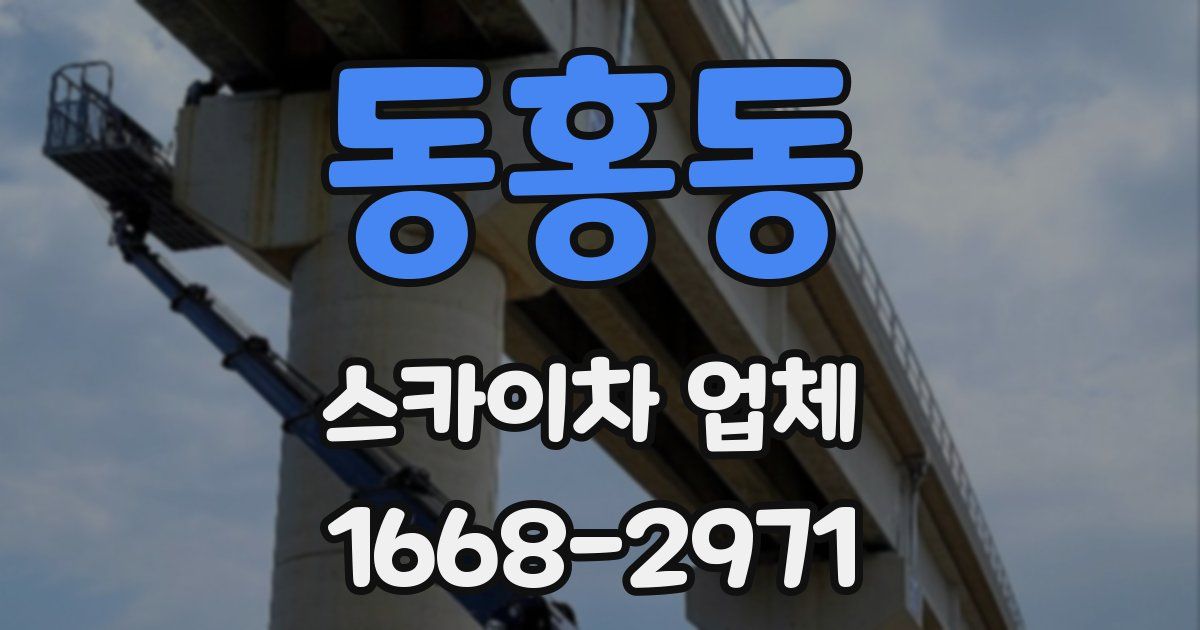 동홍동 스카이차 업체