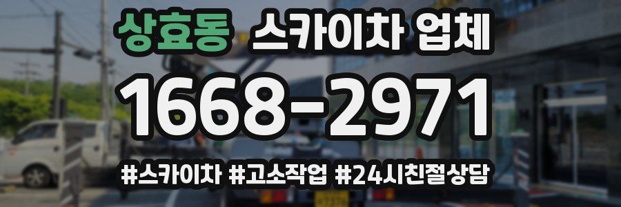 상효동 스카이차 업체