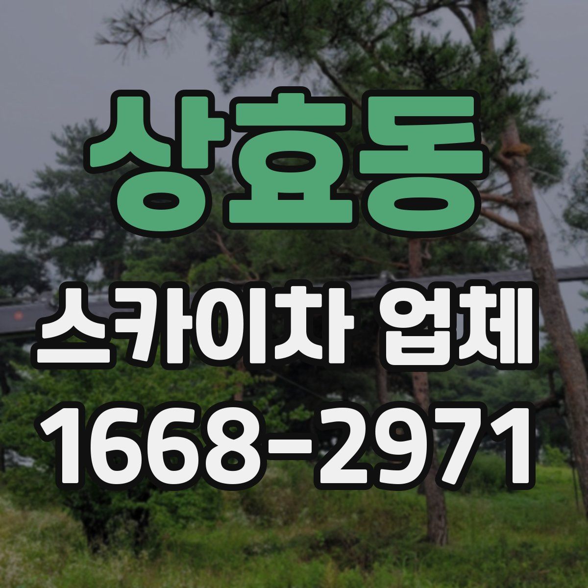 상효동 스카이차 업체