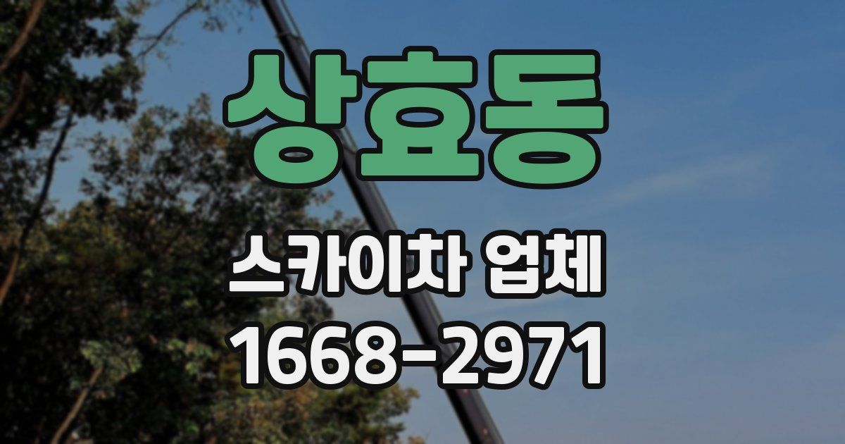 상효동 스카이차 업체