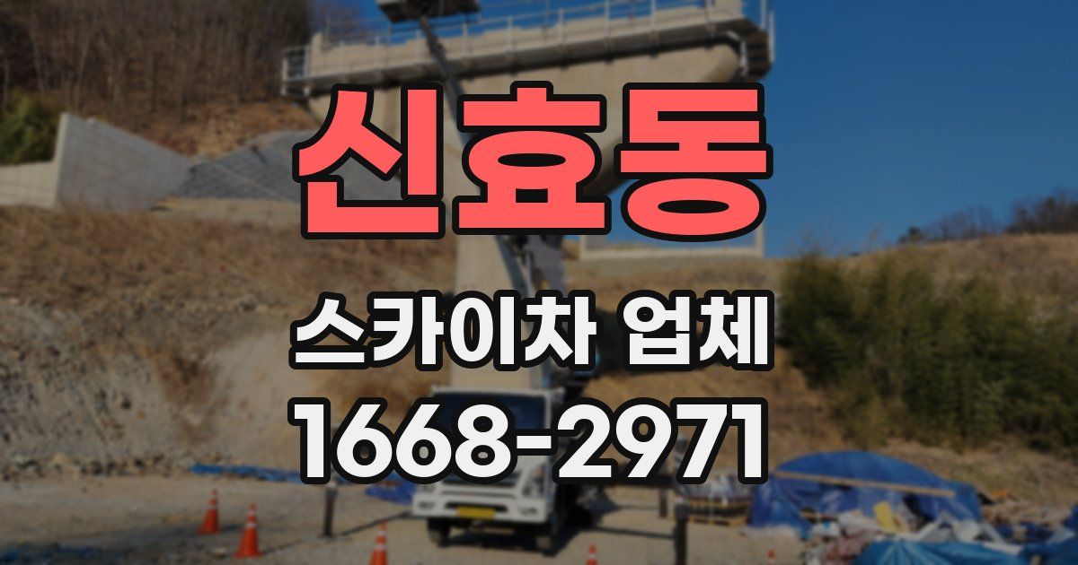 신효동 스카이차 업체