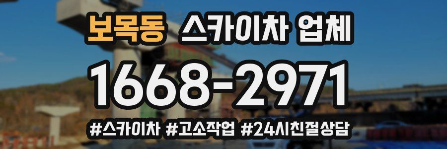 보목동 스카이차 업체