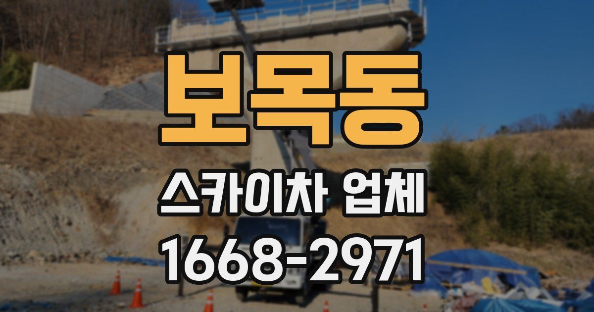 보목동 스카이차 업체