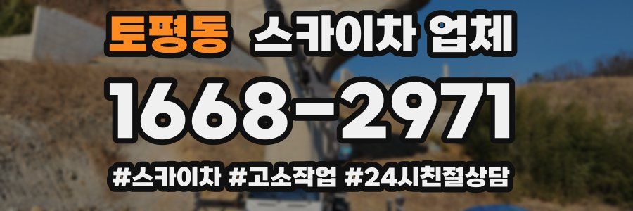 토평동 스카이차 업체
