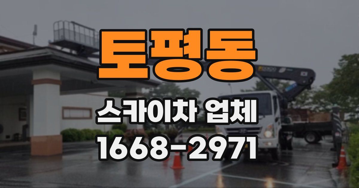 토평동 스카이차 업체