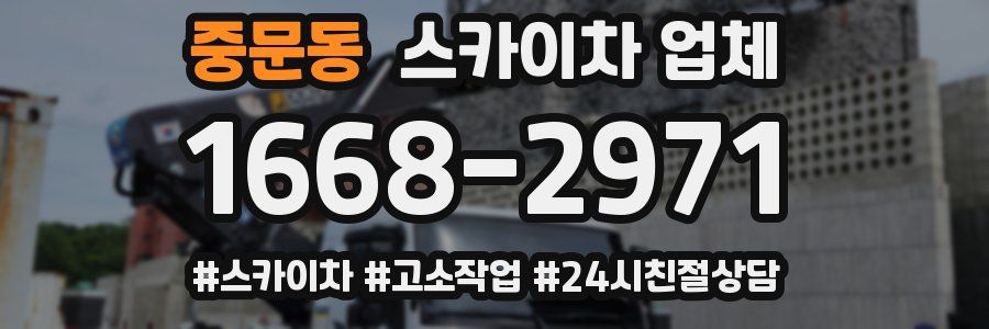 중문동 스카이차 업체