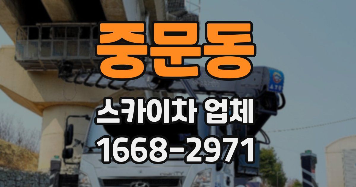 중문동 스카이차 업체