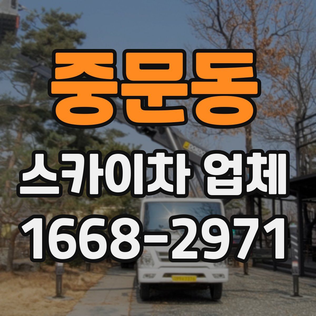 중문동 스카이차 업체