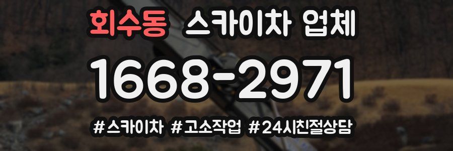 회수동 스카이차 업체
