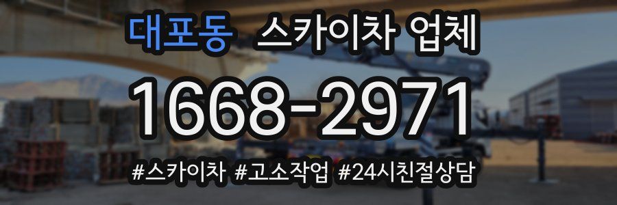 대포동 스카이차 업체