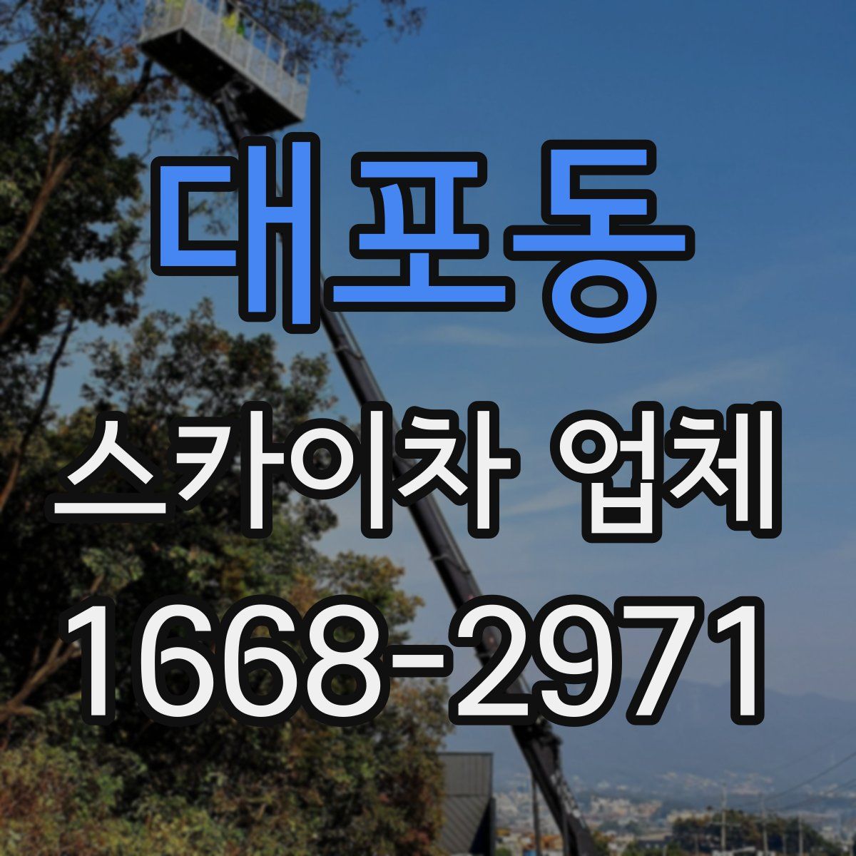 대포동 스카이차 업체