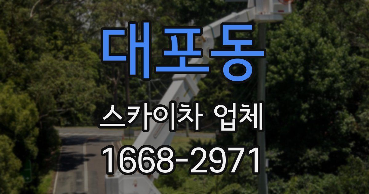 대포동 스카이차 업체