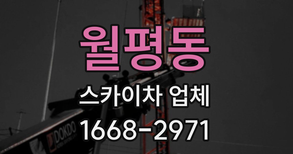 월평동 스카이차 업체