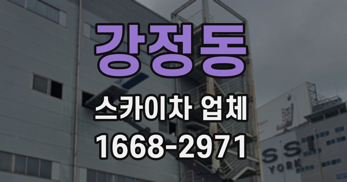 강정동 스카이차 업체