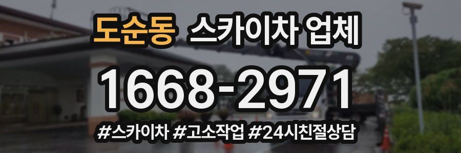 도순동 스카이차 업체