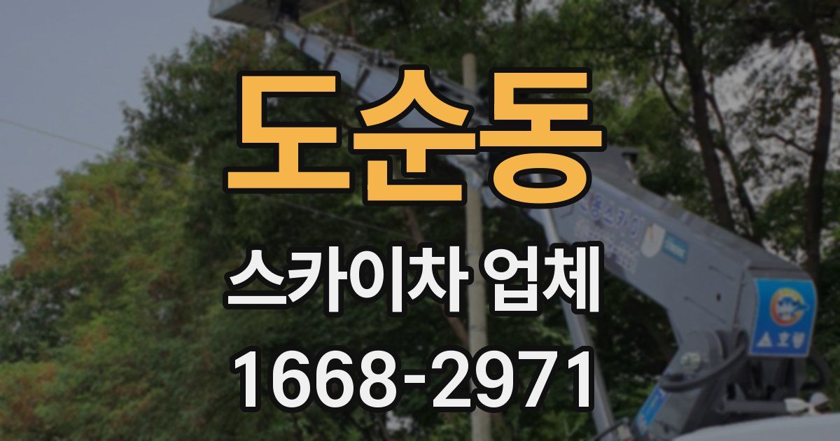 도순동 스카이차 업체