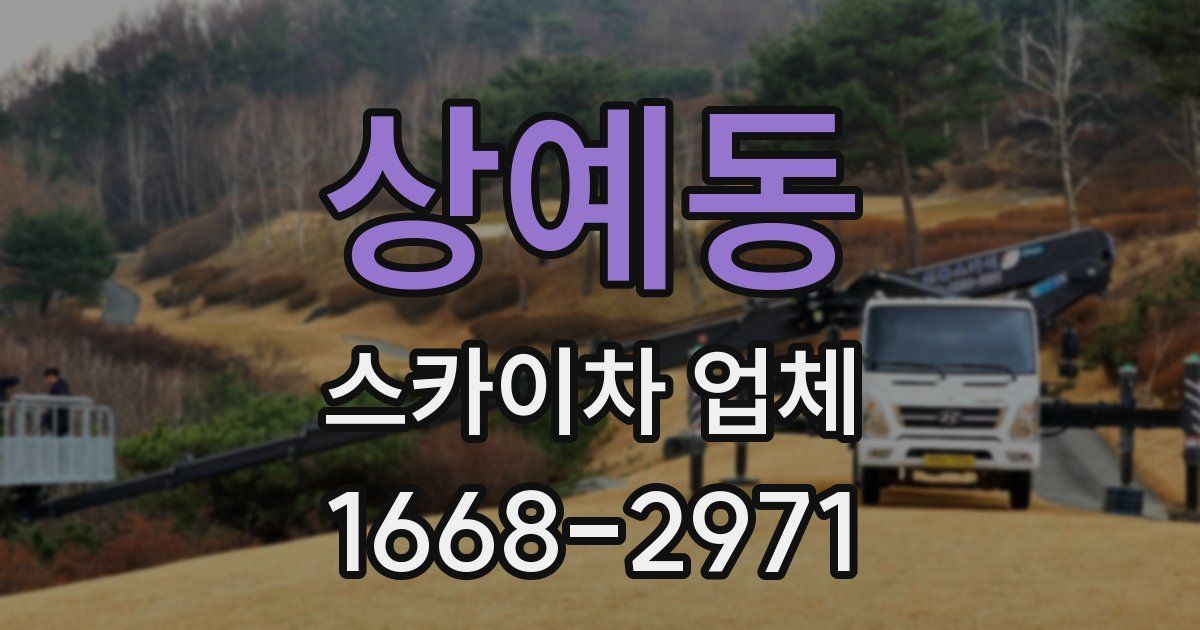 상예동 스카이차 업체