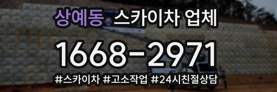 상예동 스카이차 업체