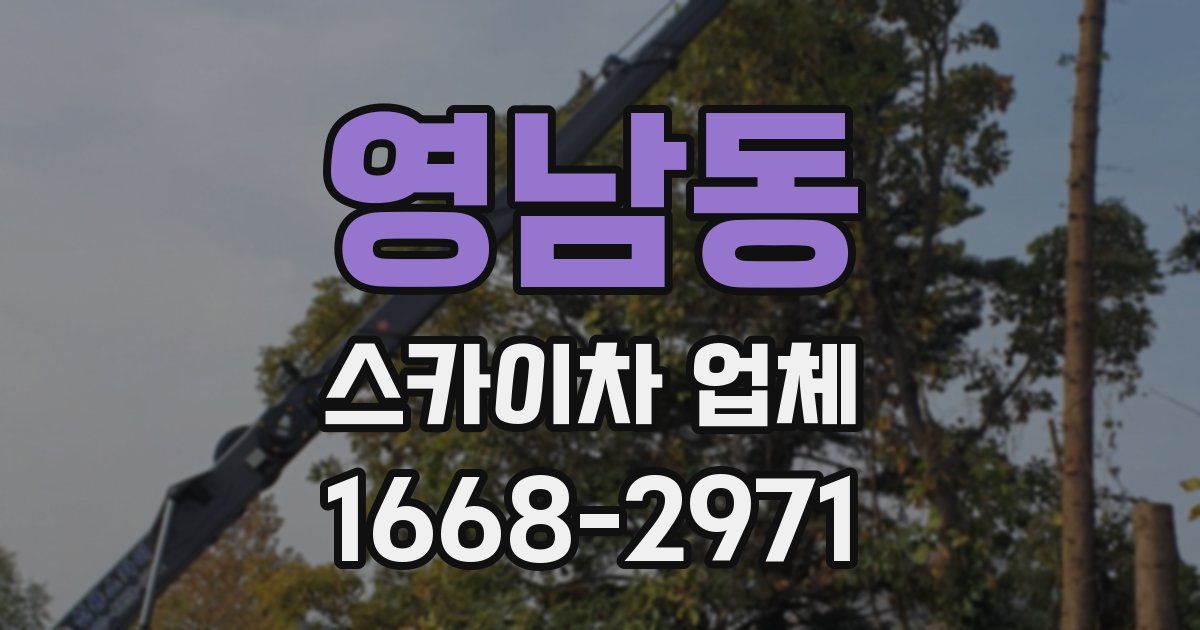 영남동 스카이차 업체