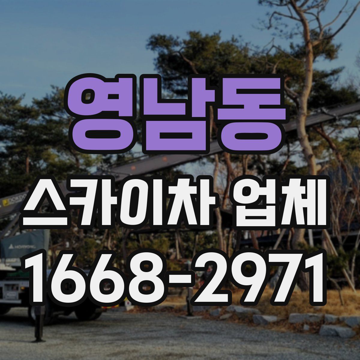 영남동 스카이차 업체