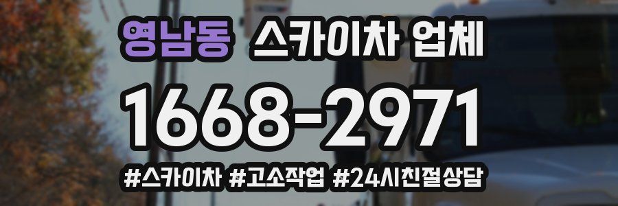 영남동 스카이차 업체