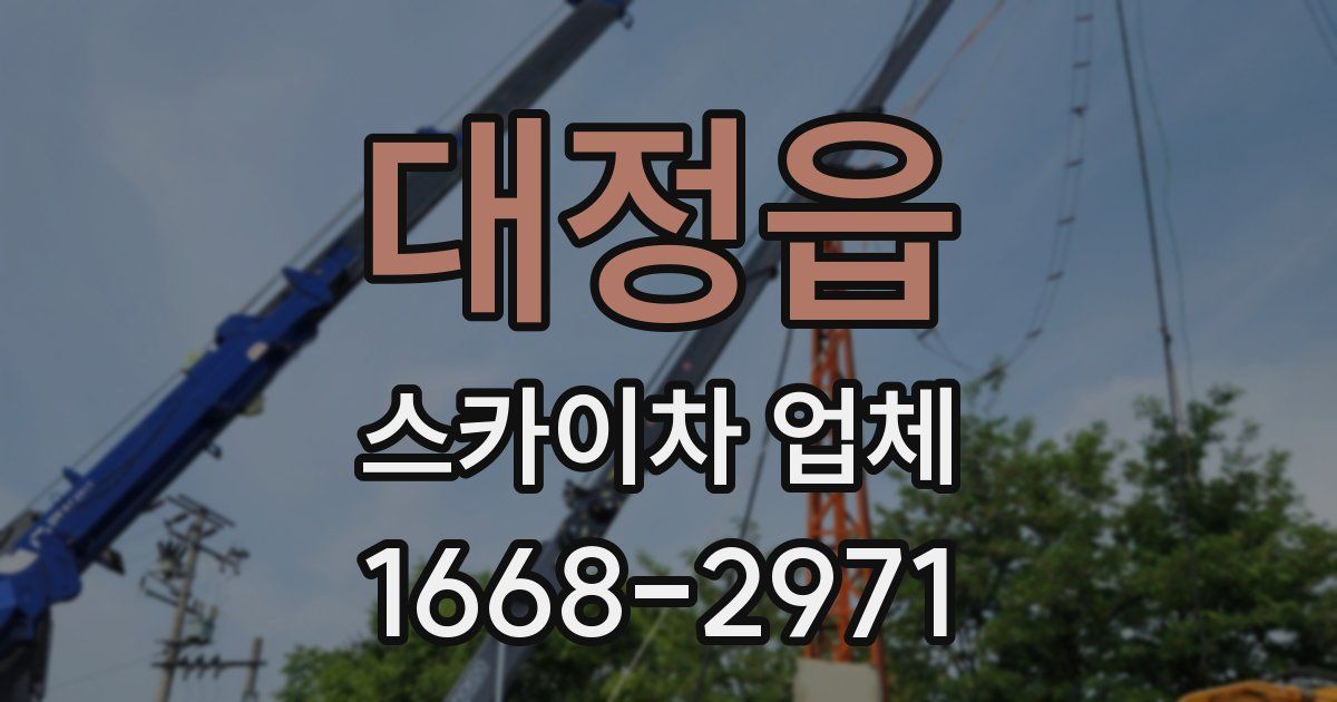 대정읍 스카이차 업체