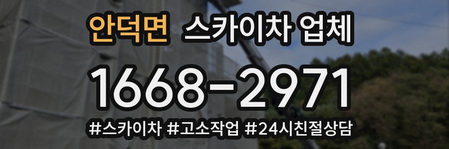 안덕면 스카이차 업체