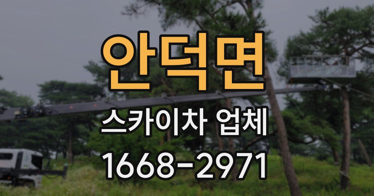 안덕면 스카이차 업체