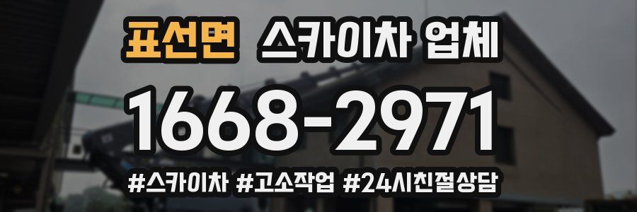 표선면 스카이차 업체