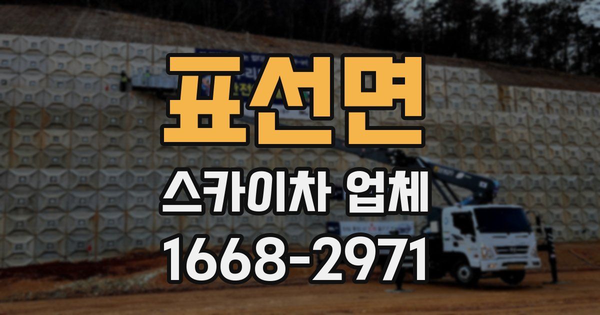 표선면 스카이차 업체