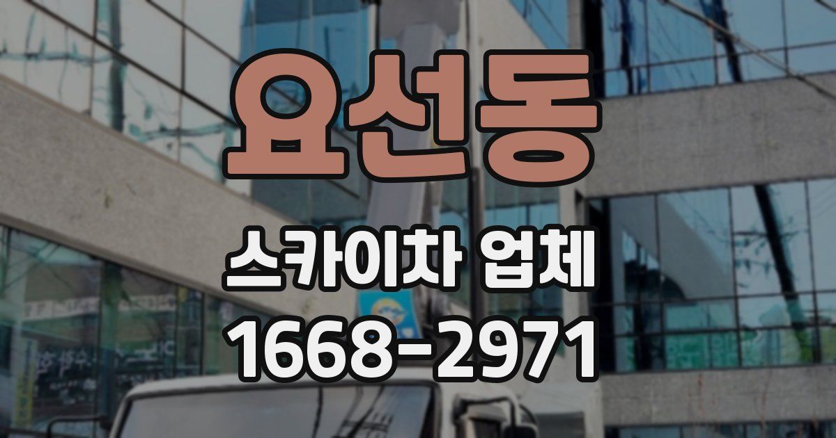 요선동 스카이차 업체