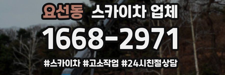 요선동 스카이차 업체