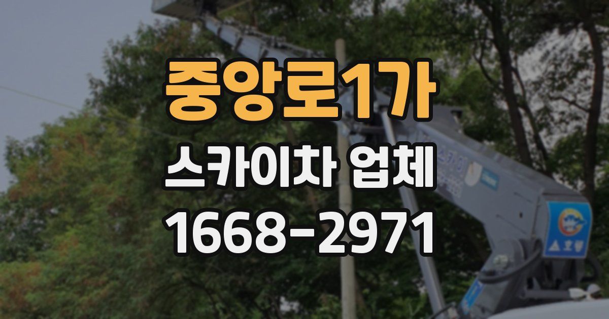 중앙로1가 스카이차 업체