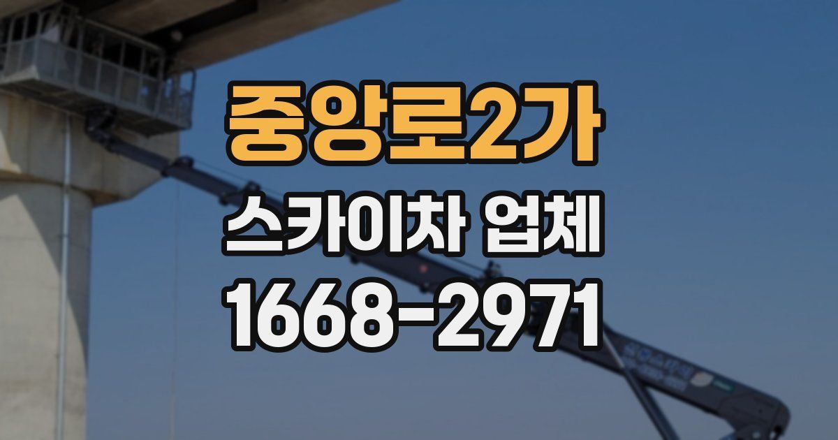 중앙로2가 스카이차 업체